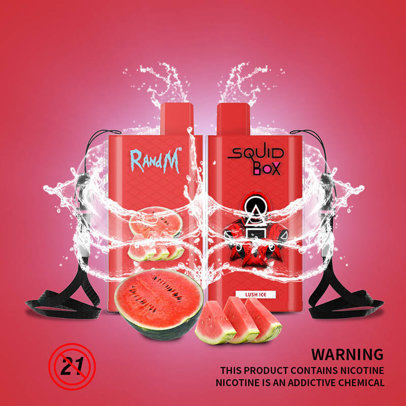 RandM Squid Box Disposable Vape 5200 Puffs Official Supplier - Image 4