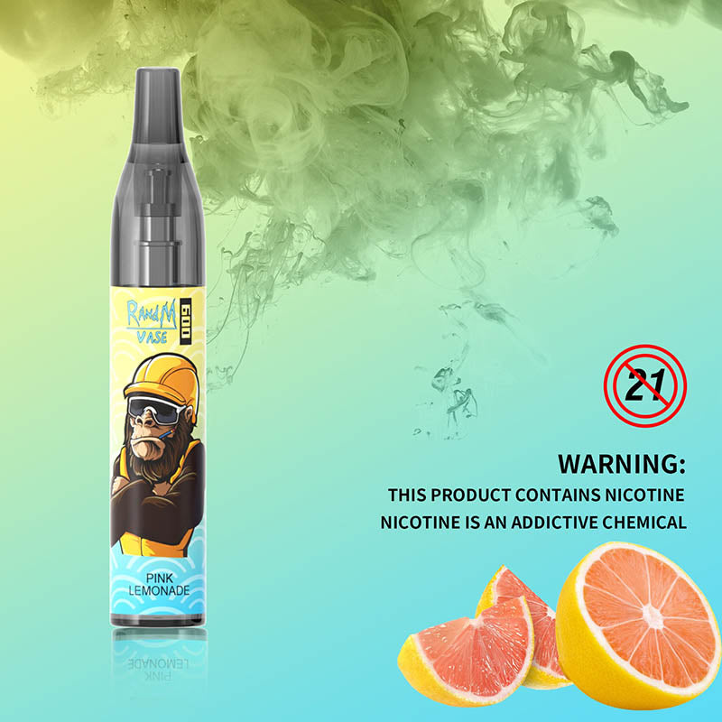 RandM Vase 600 Disposable Vape Wholesale Store - Image 13