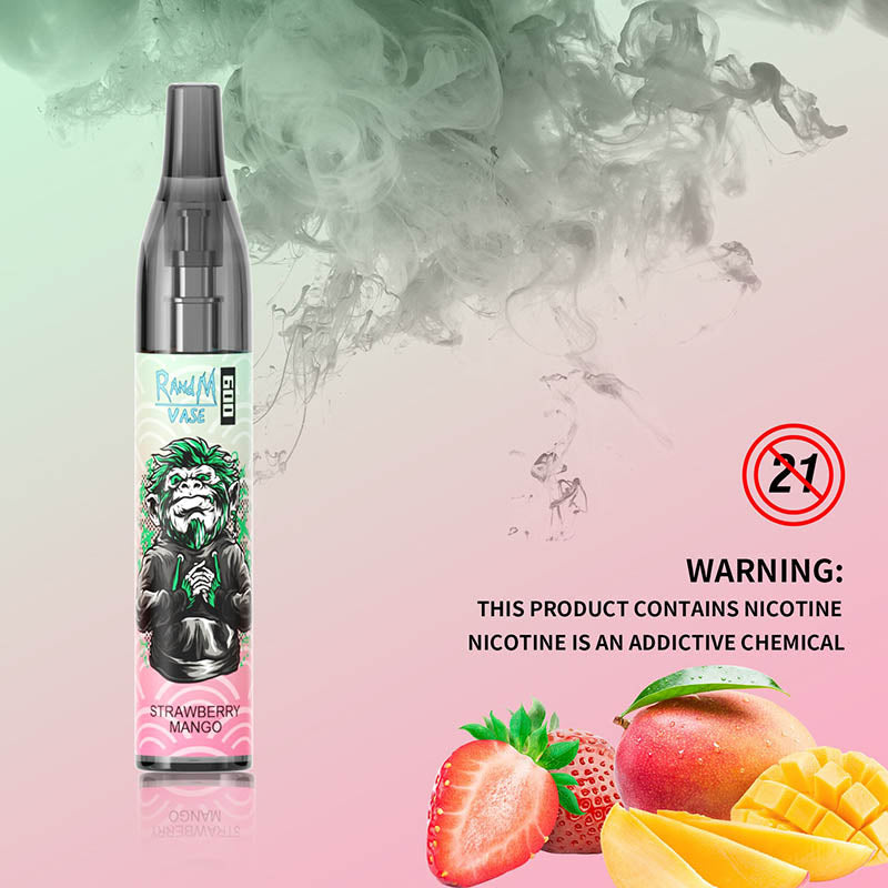 RandM Vase 600 Disposable Vape Wholesale Store - Image 7