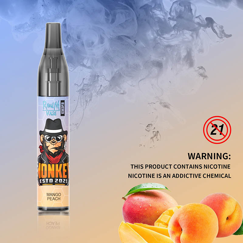 RandM Vase 600 Disposable Vape Wholesale Store - Image 9