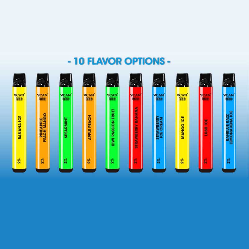 Vcan bee  Disposable Vape 600 Puffs Wholesale Pricing