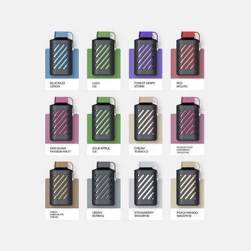 Vozol Gear Green Blast 10000 Puff Disposable,Vozol Gear 10000 Puffs Disposable Pod Kit ; lemon mint or ; Cream Tobacco or ; Blue Razz Lemon or ; Kiwi Guava Passion Fruit or ; Forest Berry Storm