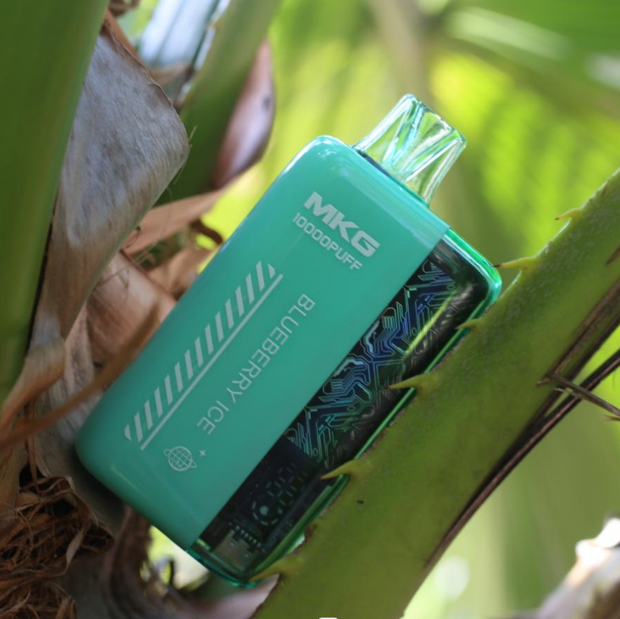 Disposable Vape with LED Power Display Screen and E-Liquid Levels Cigarro Electronico. US$ 3.3-3.5 / Piece. 500 Pieces (MOQ). Type : Disposable E-Cigarette