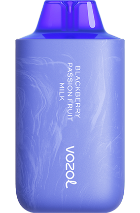 VOZOL STAR 6000 V2 Puffs Disposable Vape Original Factory Price - Image 17